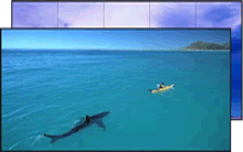 深圳優(yōu)意通翻譯公司收費價格表