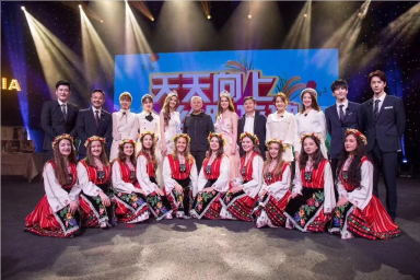 哪里可以找到視頻翻譯?多少錢?