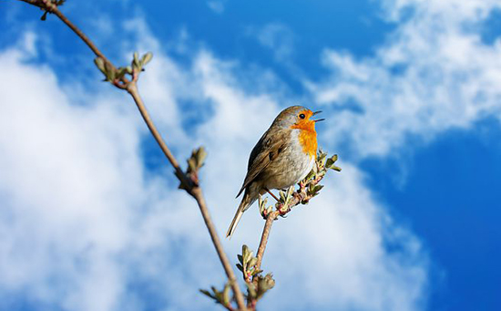 科技研發(fā)中英語(yǔ)翻譯需要哪些知識(shí)