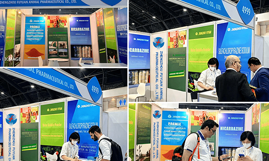 泰國曼谷國際工業(yè)展會｜陪同翻譯開始預(yù)定啦