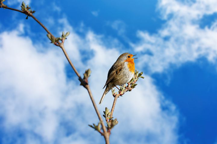 廣州<strong>同聲翻譯公司</strong>法律文件翻譯的標(biāo)準(zhǔn)