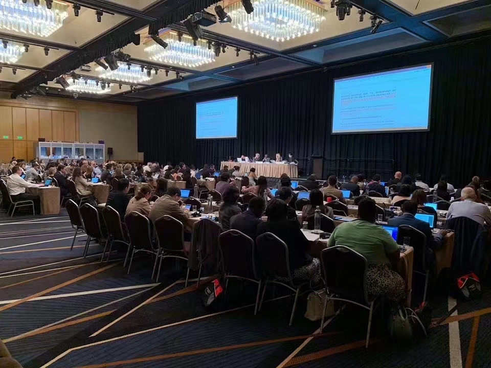 <strong>同聲翻譯公司</strong>